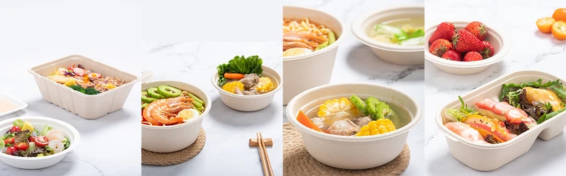 Knowledge about Sugarcane Bagasse Bowl Knowledge about Sugarcane Bagasse Bowl