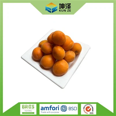 Assiettes en canne à sucre biodégradables