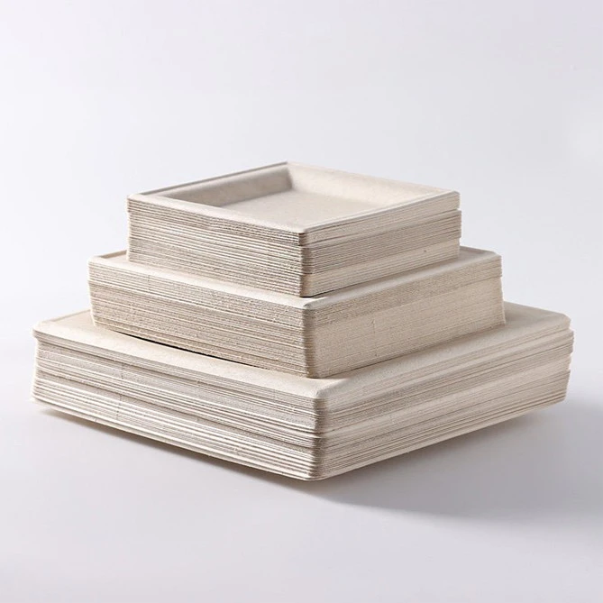 Disposable Cake Plate factory
