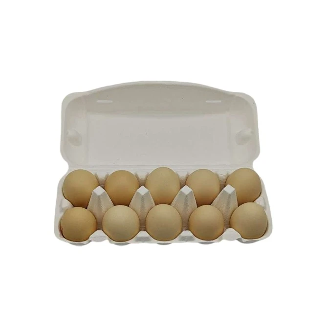 Egg Packing Box