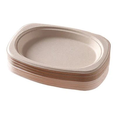 Assiettes jetables pour collations