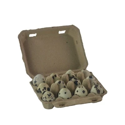 Cartons d'œufs pour œufs de caille