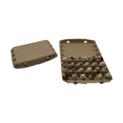 Cartons à œufs de caille