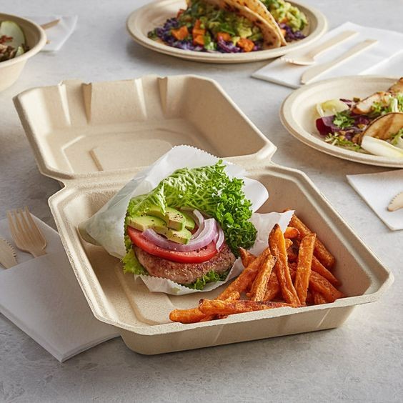 Sugarcane Food Packaging Boxes